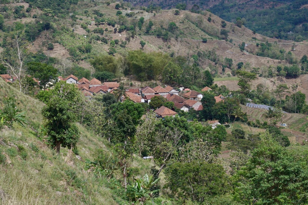 469fcbf0 3cac 42f2 932e d6fb9f3f7743