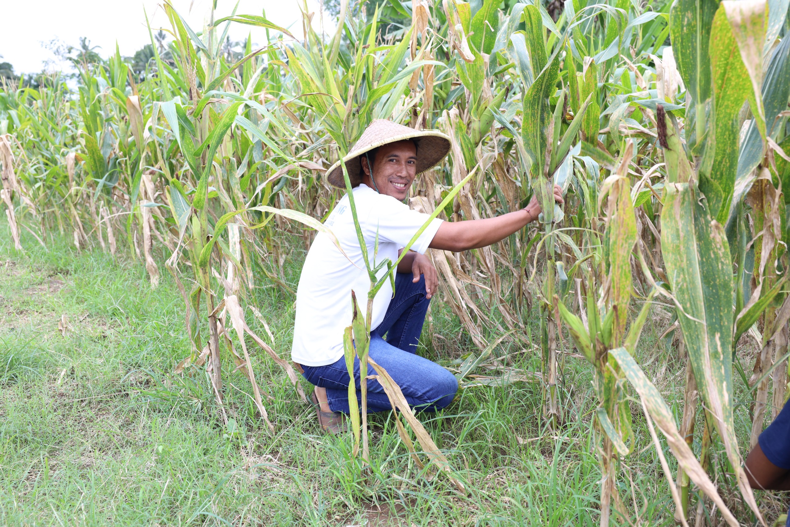 a6aaa823 ff1f 4395 8421 69f372de49dc