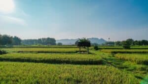 40cf332c 22bd 4716 94a0 af991b263dcc